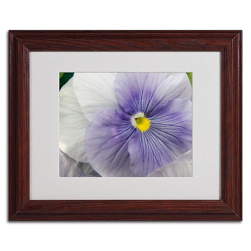 Trademark Monica Fleet "Untainted Purity" Art, White Matte W/Wood Frame, 11" x 14" image 1