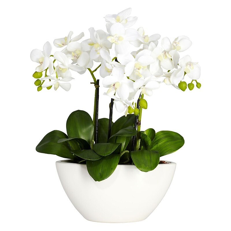 Nearly Natural 4804 Phalaenopsis Silk Floral Arrangements, White image 1