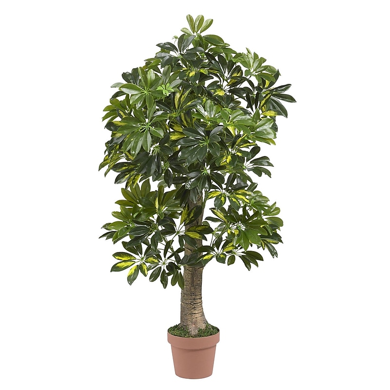 Nearly Natural 5305 4' Schefflera Tree in Pot image 1