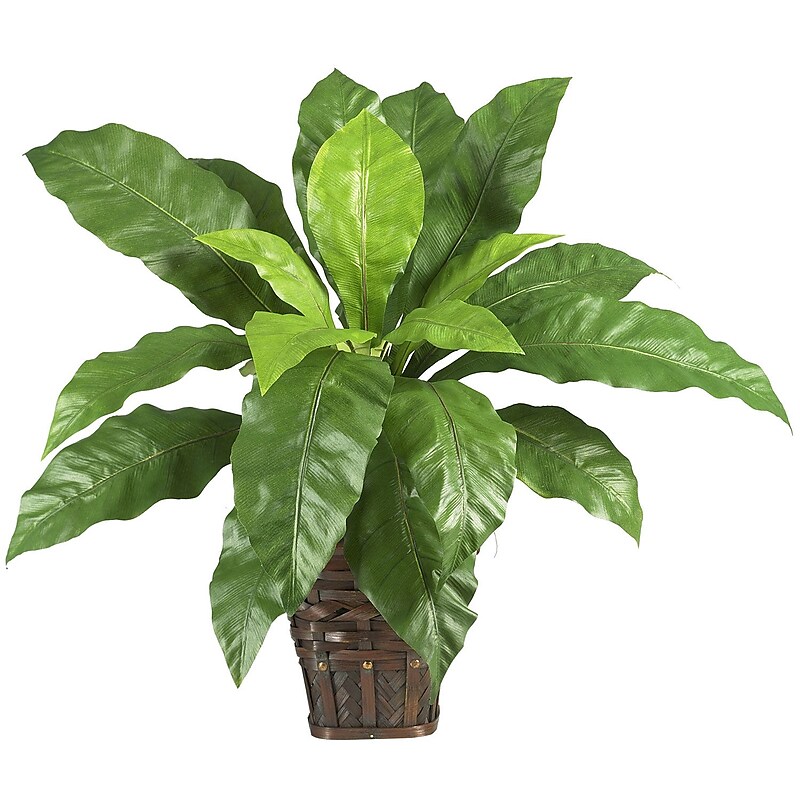 Nearly Natural 6530 Birds Nest Fern Desk Top Plant in Decorative Vase image 1