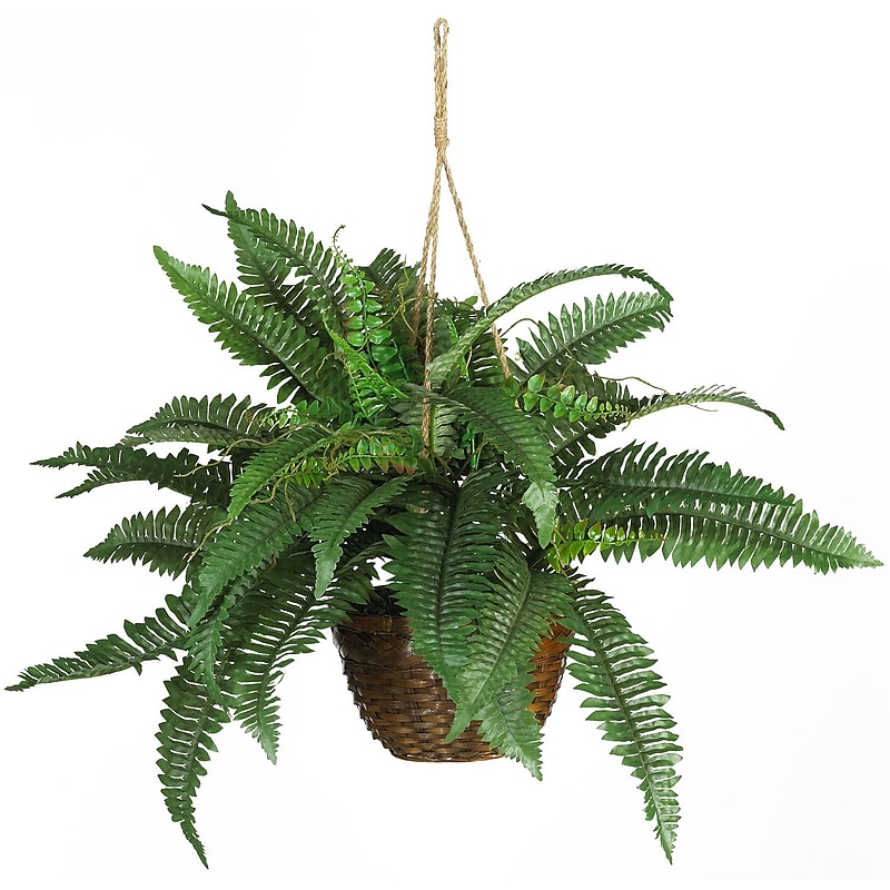 Nearly Natural 6599 Boston Fern Hanging Plant in Basket image 1