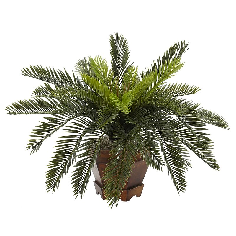 Nearly Natural 6657 Cycas in Hexagon Vase Plant in Pot image 1