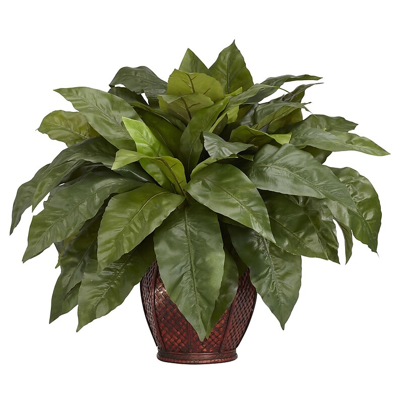 Nearly Natural 6659 Birds Nest Fern Silk Plant in Pot image 1