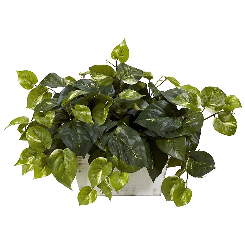 Nearly Natural 6713 Pothos Plant in White Wash Planter image 1