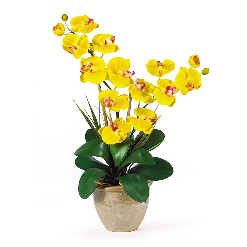 Nearly Natural 1026-GD Double Phalaenopsis Floral Arrangements, Yellow image 1