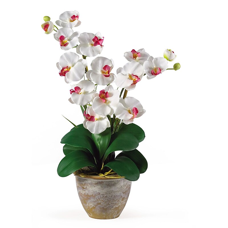 Nearly Natural 1026-WH Double Phalaenopsis Floral Arrangements, White image 1