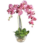 Nearly Natural 4643-PR Phalaenopsis Silk Floral Arrangements, Purple