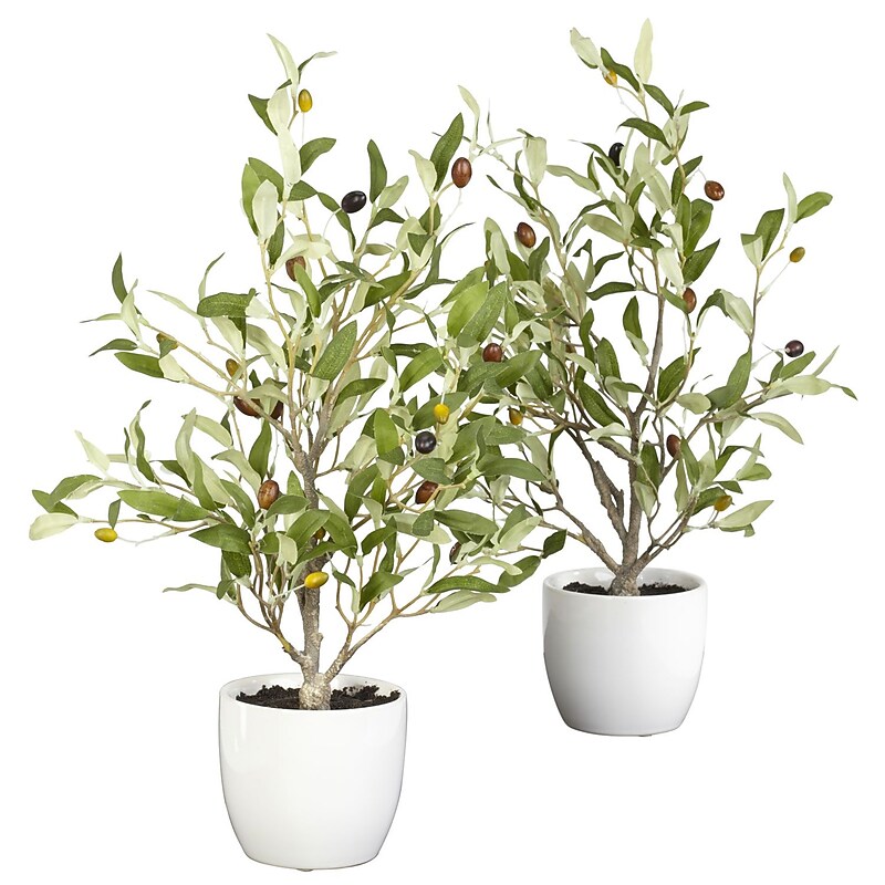 Nearly Natural 4774 18" Set of 2 Olive Silk Tree in Pot image 1
