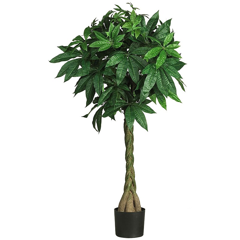 Nearly Natural 5249 51" Braided Money Tree in Pot image 1