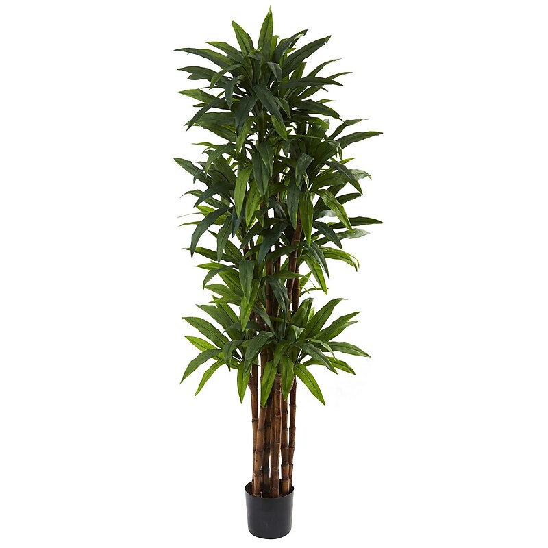 Nearly Natural 5403 Dracaena Tree in Pot image 1