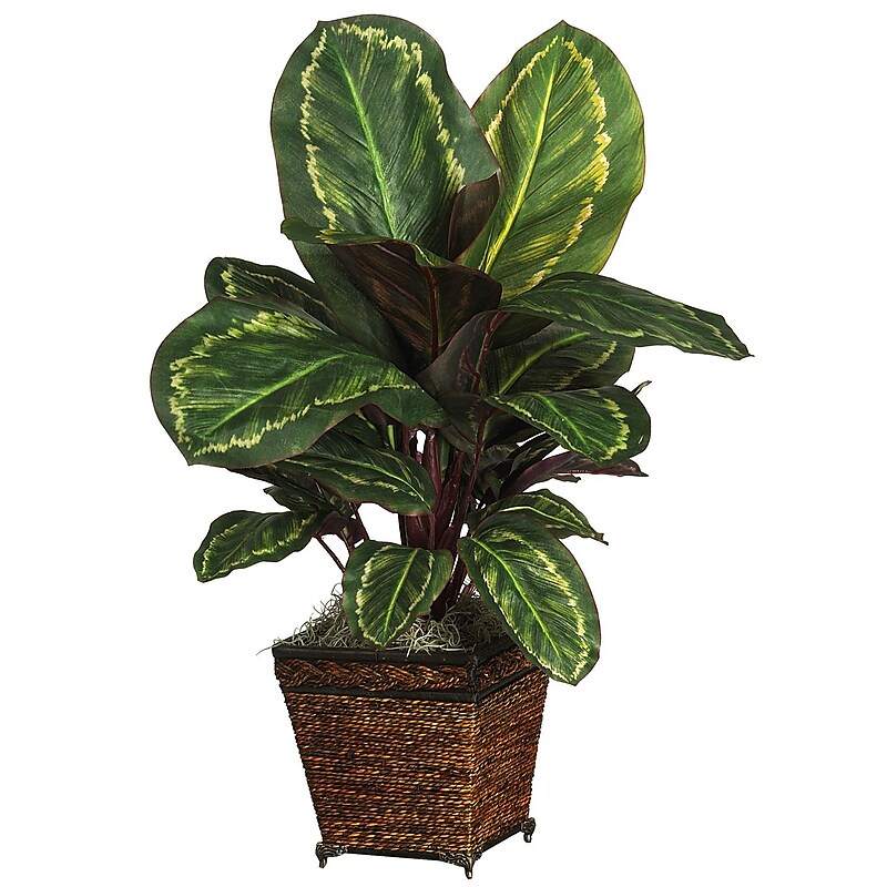 Nearly Natural 6590 Maranta Silk Plant in Pot image 1