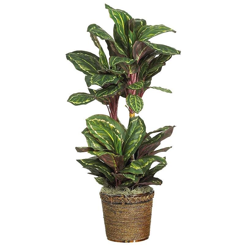 Nearly Natural 6591 45" Maranta Silk Plant in Pot image 1