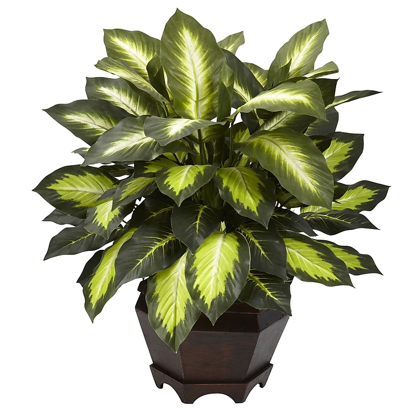 Nearly Natural 6720 Triple Dieffenbachia Desk Top Plant in Decorative Vase image 1