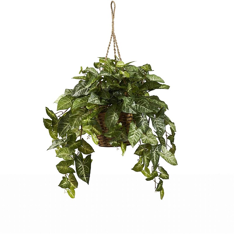 Nearly Natural 6738 Nepthytis Hanging Plant in Basket image 1