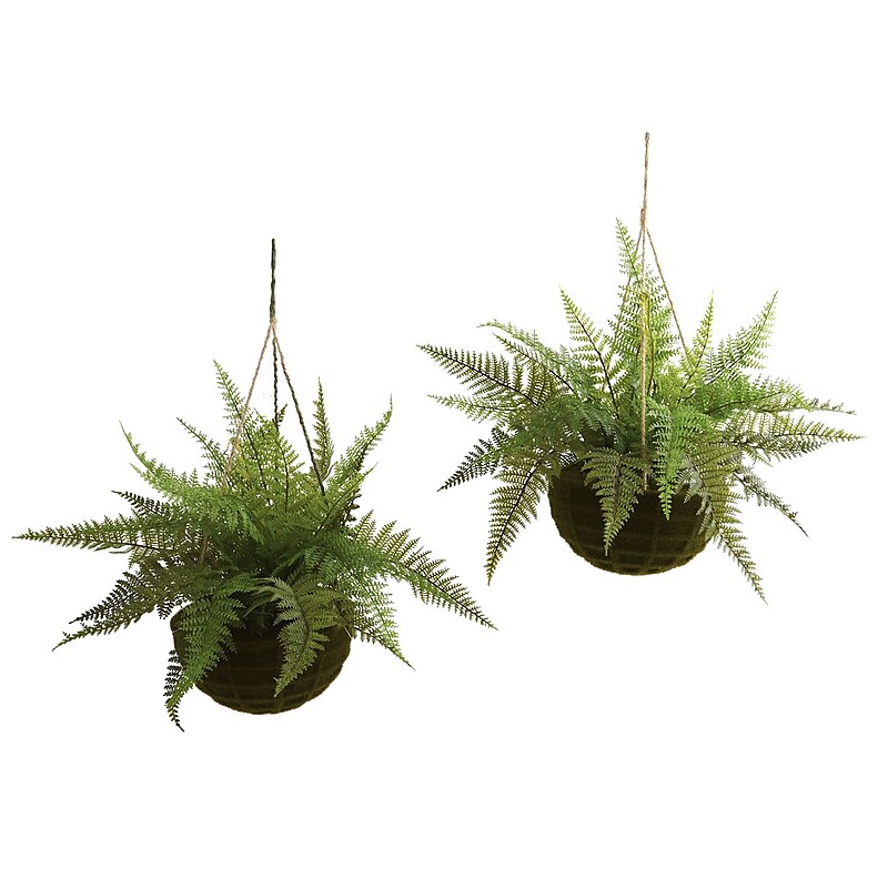Nearly Natural 6743 Leather Fern Set of 2 Hanging Plant in Basket image 1