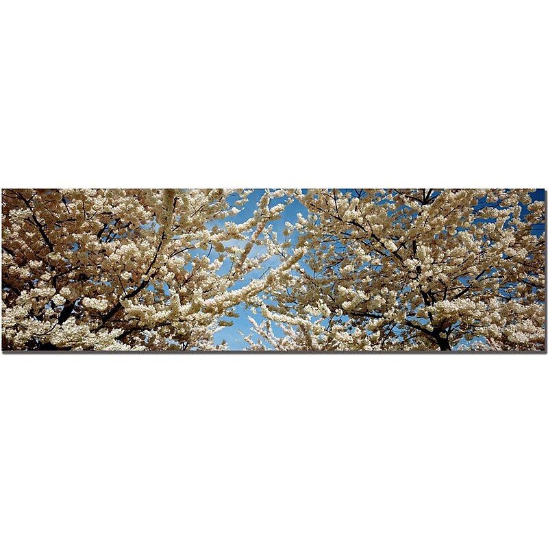Trademark Fine Art Preston, 'Floral Escape' Canvas Art 14 x 47 Inches image 1