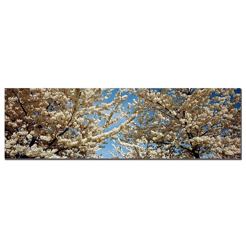 Trademark Fine Art Floral Escape by Preston-1648 Ready to Hang Art 16 x 48 Inches image 1
