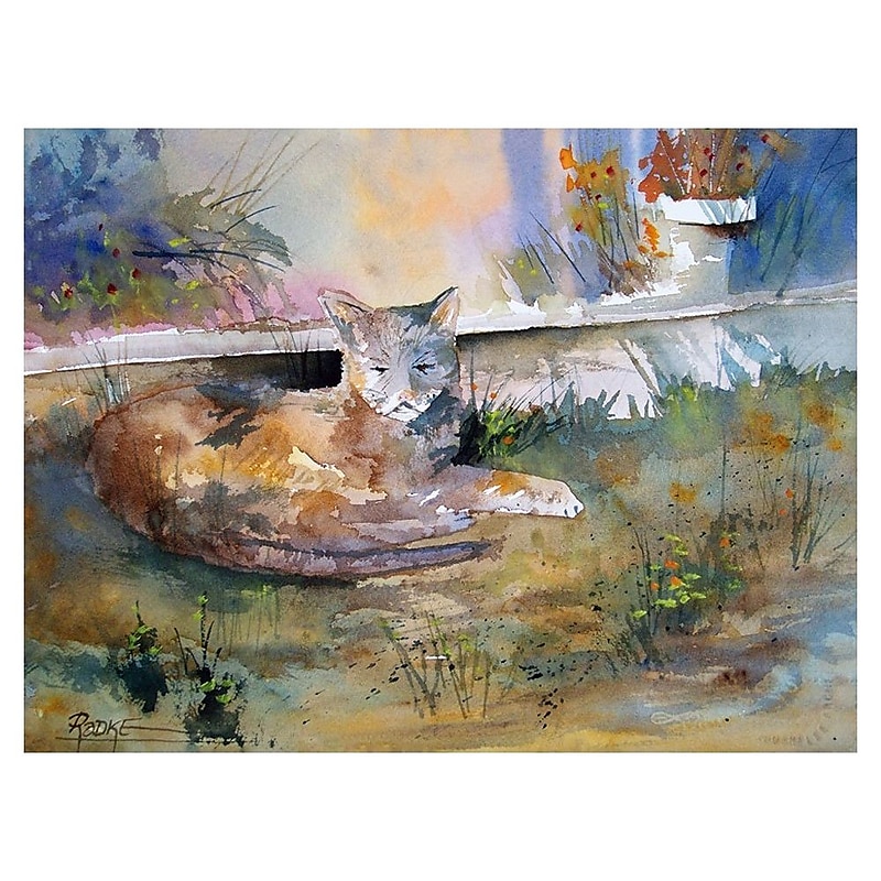 Trademark Fine Art Ryan Radke 'Cat Nap'' Canvas Art 24 x 32 Inches image 1