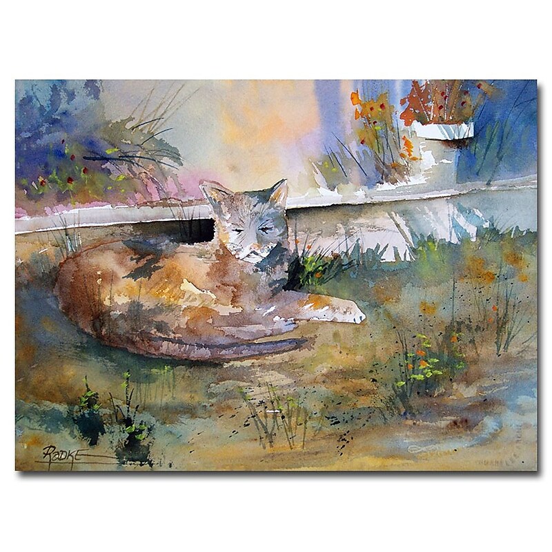 Trademark Fine Art Ryan Radke 'Cat Nap' Canvas Art 30 x 47 Inches image 1