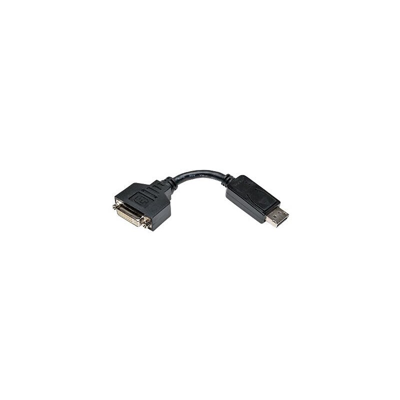Tripp Lite 6" Displayport to DVI Adapter, Black image 1