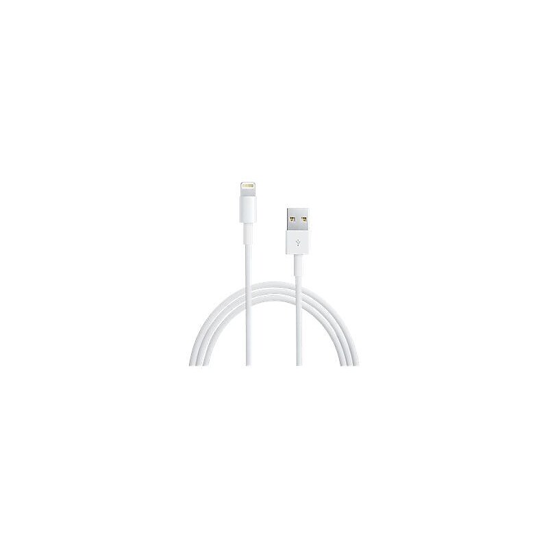 4XEM 4XLIGHTNING10 10' Proprietary Connector to USB Cable, White image 1