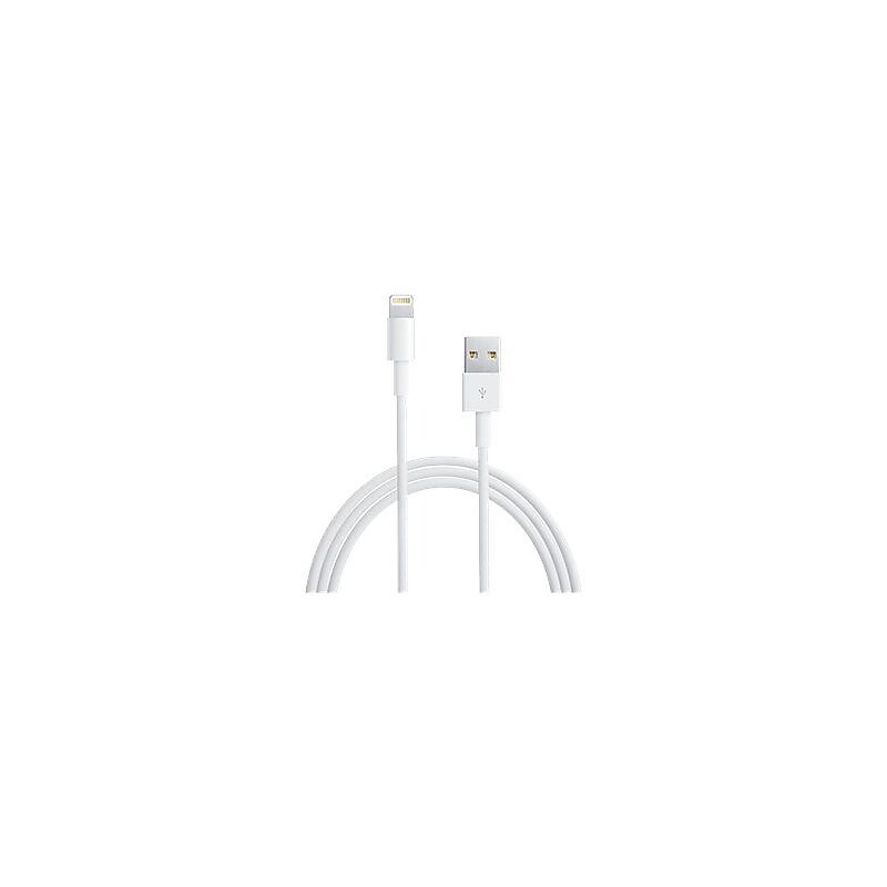 4XEM 4XLIGHTNING3 3' Proprietary Connector to USB Cable, White image 1