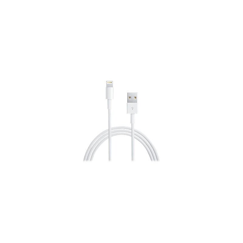 4XEM 4XLIGHTNING6 6' Proprietary Connector to USB Cable, White image 1
