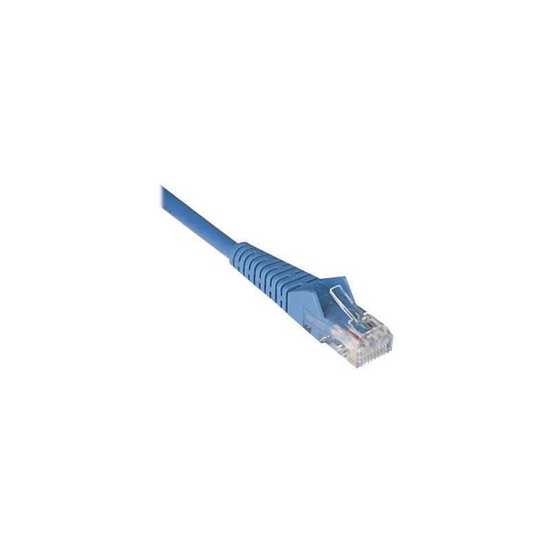 Tripp Lite 2' RJ45 to RJ45 Networking Cable, Male to Male (N201-002-BL) image 1