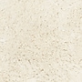 Safavieh Classic Ultra Shag 3' x 5' Rectangle Indoor Area Rug, Tufted, Polyester, Ivory (SG240V-3)~#|#~m001418828_sc7