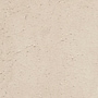 Safavieh Arctic Shag 8' x 10' Rectangle Indoor Area Rug, Tufted, Polyester, Light Beige (SG270V-810)~#|#~m001418873_sc7
