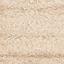 Safavieh Florida Kelly Shag 4' x 6' Rectangle Indoor Area Rug, Machine Made, Polypropylene, Beige/Cream (SG460-1311-4)~#|#~m001419083_sc7