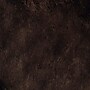 Safavieh Paris Shag 3' x 5' Rectangle Indoor Area Rug, Tufted, Polyester, Chocolate (SG511-2727-3)~#|#~m001419169_sc7