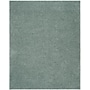 Safavieh Athens Shag 4' x 6' Rectangle Indoor Area Rug, Machine Made, Seafoam (SGA119D-4)~#|#~m001419235_sc7