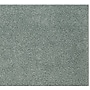 Safavieh Athens Shag 4' x 6' Rectangle Indoor Area Rug, Machine Made, Seafoam (SGA119D-4)~#|#~m001419237_sc7