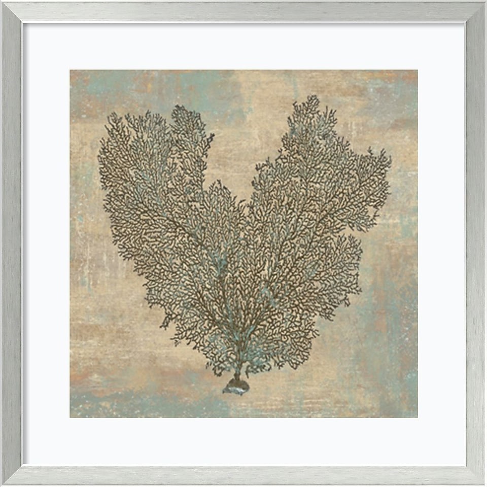 Amanti Art Aqua Fan Coral Framed Art Print by Caroline Kelly, 26.88H x 26.88W