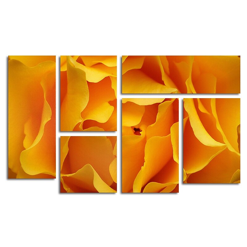 Trademark Fine Art Cotton & Rayon Hypnotic Yellow Row 28" x 47" image 1