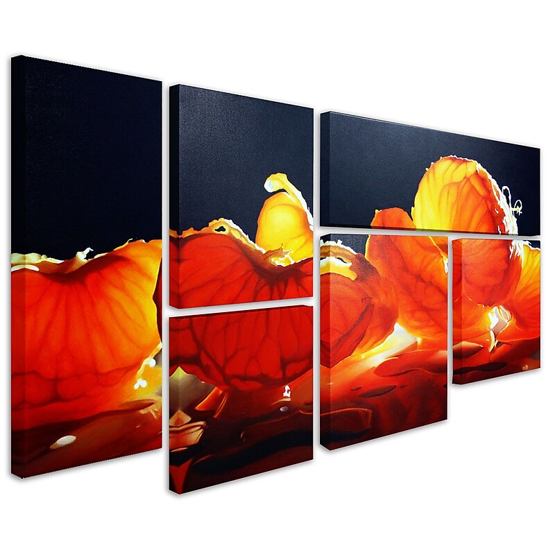 Trademark Fine Art Canvas Painting 14" x 19" image 1