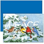 JAM Paper® Christmas Cards Set, Birds on Branch, 18/Pack (526796600)