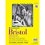 Strathmore 100 lbs. Vellum Bristol Paper Pad, 14" x 17"~#|#~m001613085_sc7
