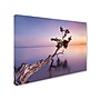 Trademark Moises Levy "Water Tree XV" Gallery-Wrapped Canvas Art, 14" x 19"~#|#~m001694602_sc7