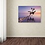 Trademark Moises Levy "Water Tree XV" Gallery-Wrapped Canvas Art, 14" x 19"~#|#~m001694603_sc7
