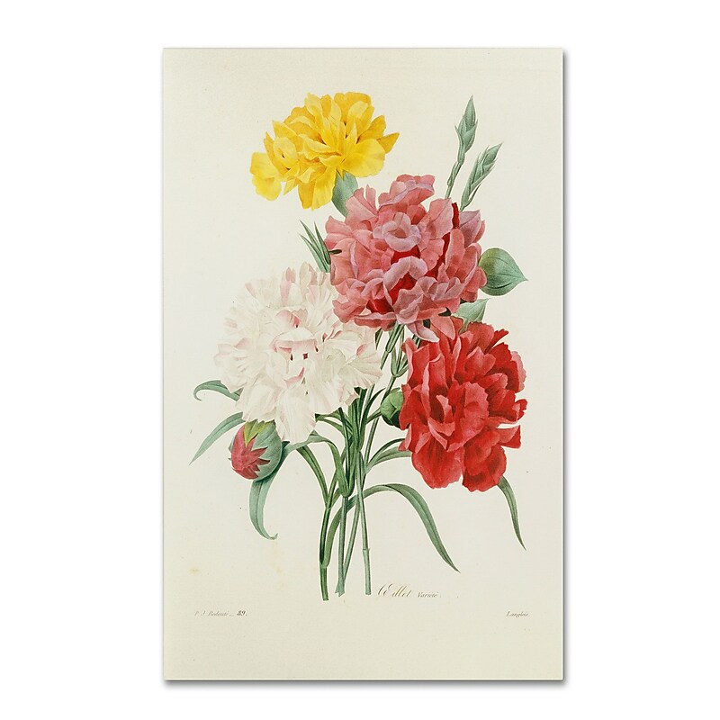 Trademark Joseph Redoute "Carnations from Choix" Gallery-Wrapped Canvas Art, 16" x 24" image 1