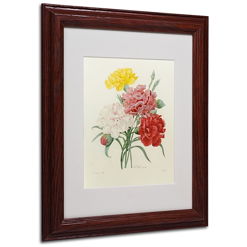 Trademark Joseph Redoute "Carnations from Choix" Art, White Matte With Wood Frame, 11" x 14" image 1