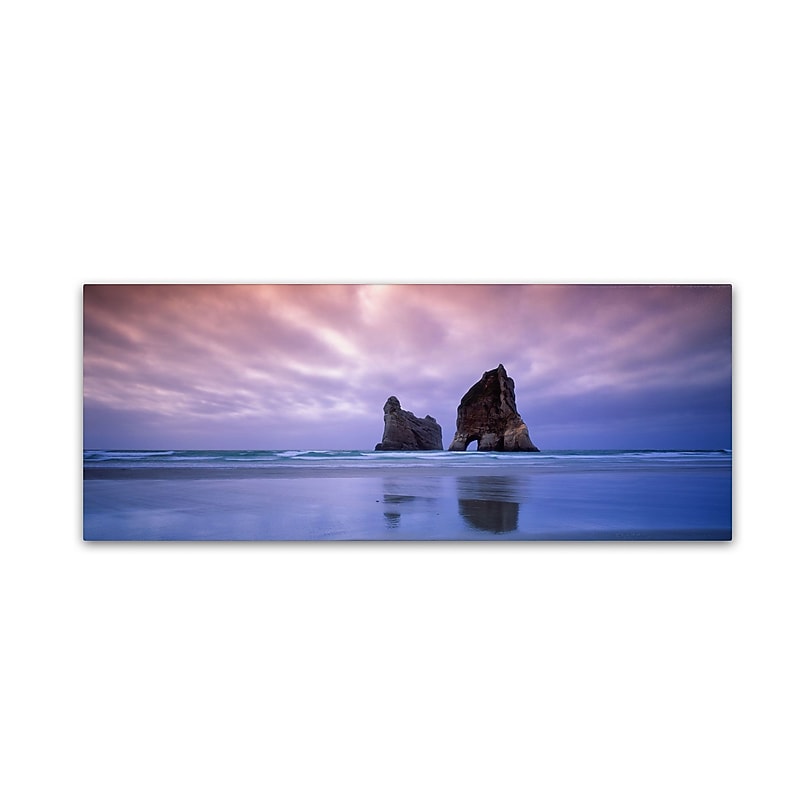 Trademark David Evans "Archway Islands-Wharariki Beach-NZ" Gallery-Wrapped Canvas Art, 8" x 24" image 1