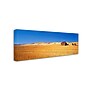 Trademark David Evans "Burra Homestead-SA" Gallery-Wrapped Canvas Art, 8" x 24"~#|#~m001697121_sc7