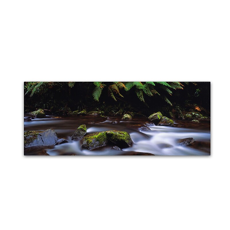 Trademark David Evans "Cascade-Otways Victoria" Gallery-Wrapped Canvas Art, 16" x 47" image 1