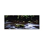 Trademark David Evans "Cascade-Otways Victoria" Gallery-Wrapped Canvas Art, 16" x 47"~#|#~m001697129_sc7