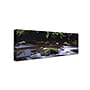 Trademark David Evans "Cascade-Otways Victoria" Gallery-Wrapped Canvas Art, 16" x 47"~#|#~m001697130_sc7