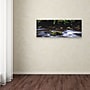 Trademark David Evans "Cascade-Otways Victoria" Gallery-Wrapped Canvas Art, 16" x 47"~#|#~m001697131_sc7