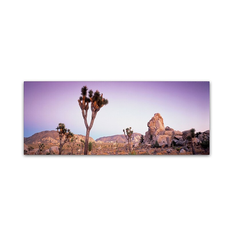 Trademark David Evans "Dusk-Joshua Tree NP" Gallery-Wrapped Canvas Art, 16" x 47" image 1